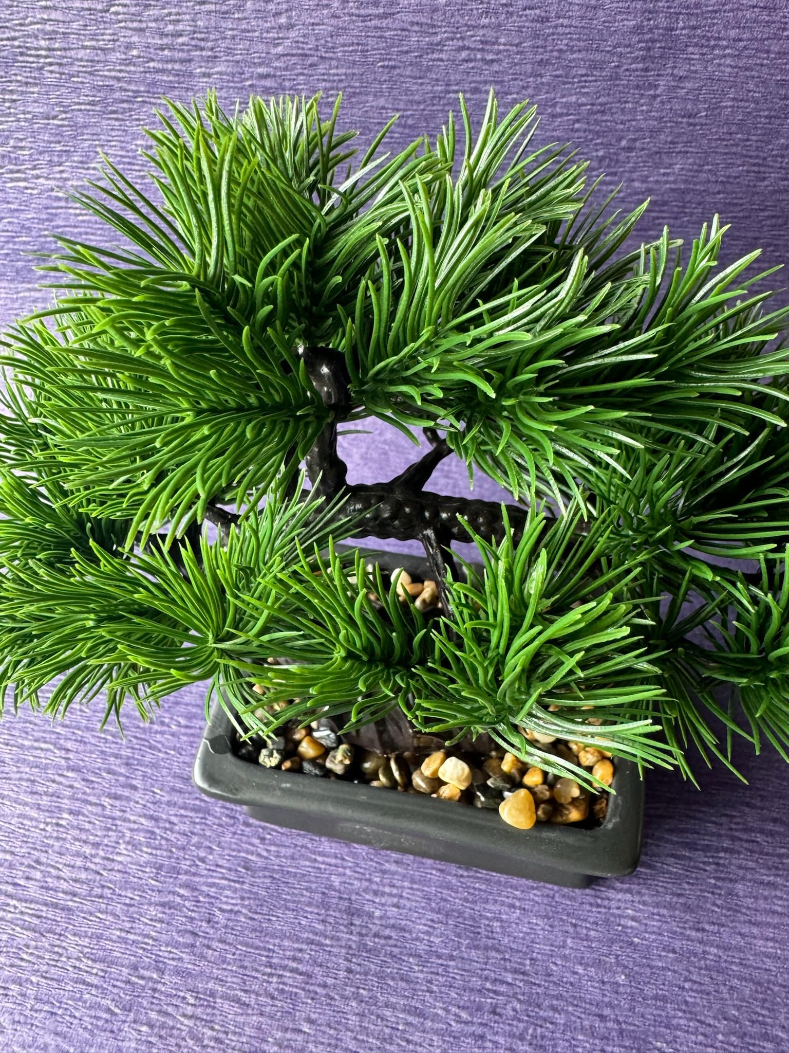 Amazon｜人工盆栽【ミニ 盆栽 松 1個】松 五葉松 フェイク 枯れ